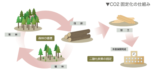 CO2固定化の仕組み 図